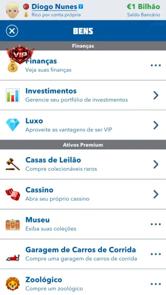 BitLife - Simulador de Vida — bens com cassino e zoologico